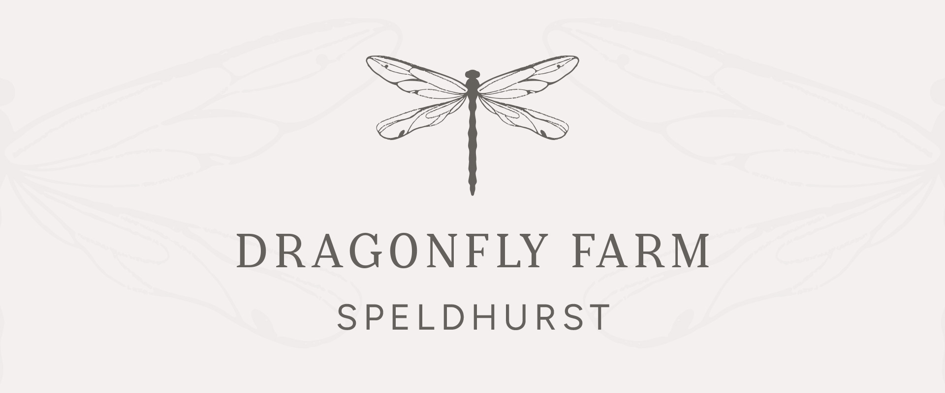 Dragonfly-Hero Mock up of responsive website design for make up brand