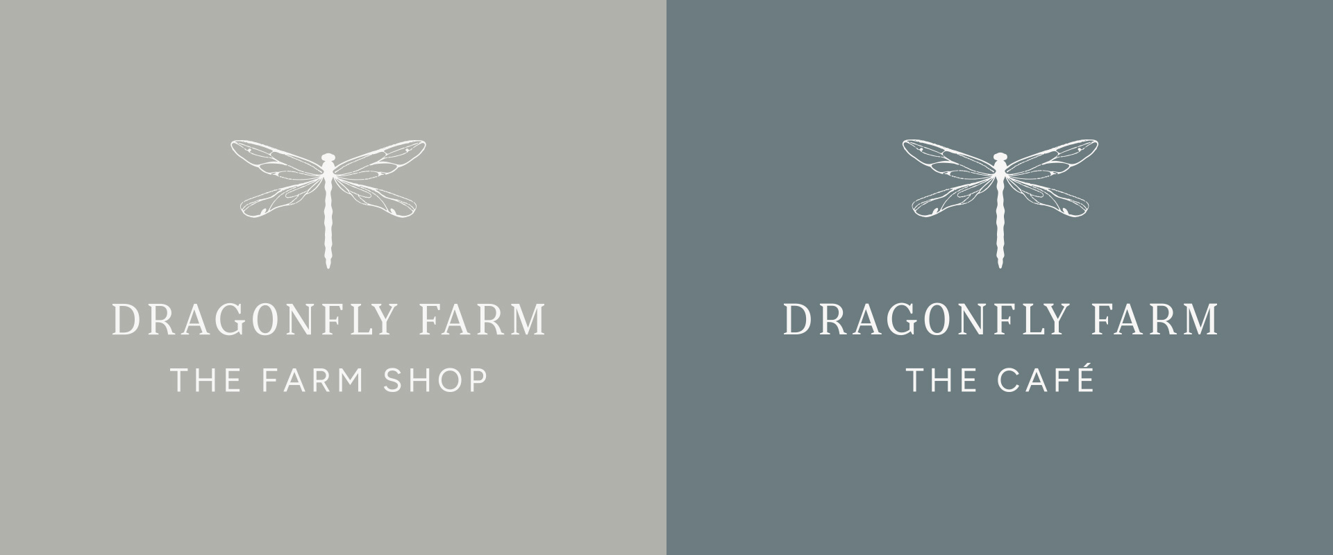 Dragonfly.3 Mock up of responsive website design for make up brand